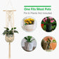Macrame Plant Hanger