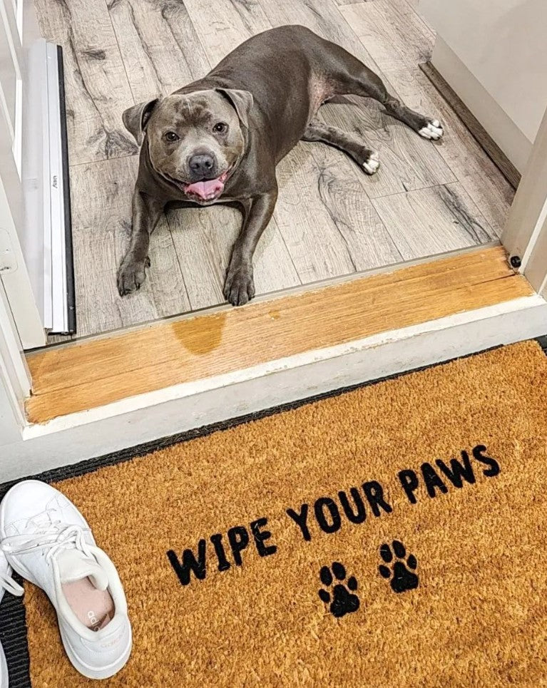 Wipe Your Paws Doormat Embossed