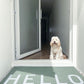 Hello Doormat - Eucalyptus