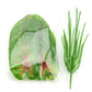 Floral Collection - Faux Leaves
