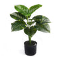 Floral Collection - Faux Leaves