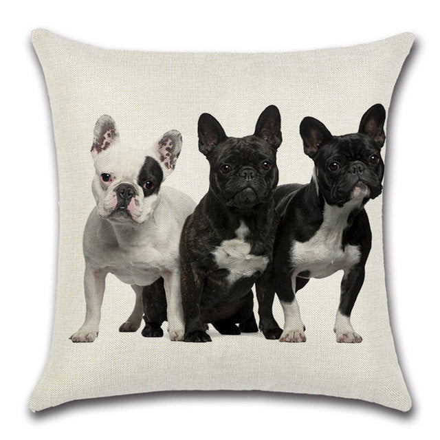 Cool Dog Collection