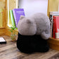 Kitten Plush