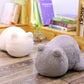 Kitten Plush